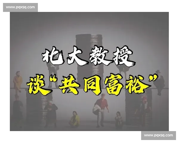 以社会责任为引领推动可持续发展助力共同富裕的战略思考与实践
